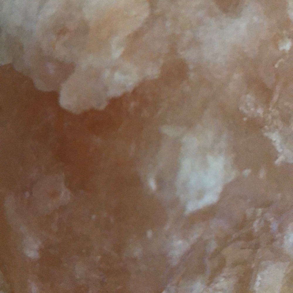 Meet your Posher, Sammi